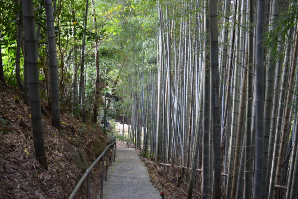 神龍八大龍王神社】宇宙最強の金運上昇なスピリチュアルスポット