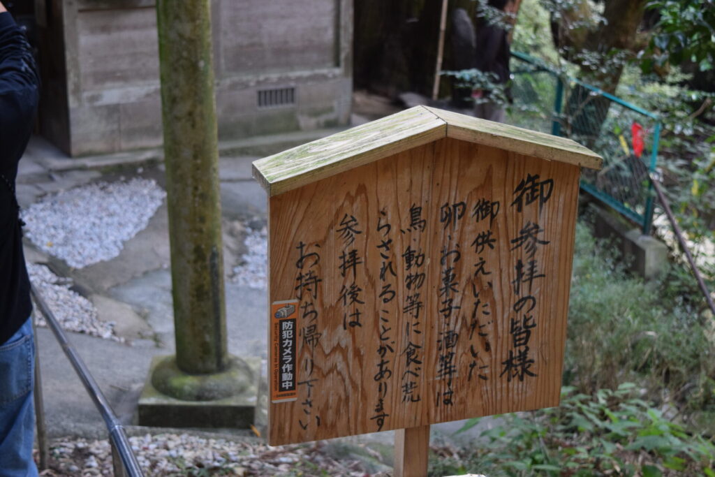 神龍八大龍王神社】宇宙最強の金運上昇なスピリチュアルスポット