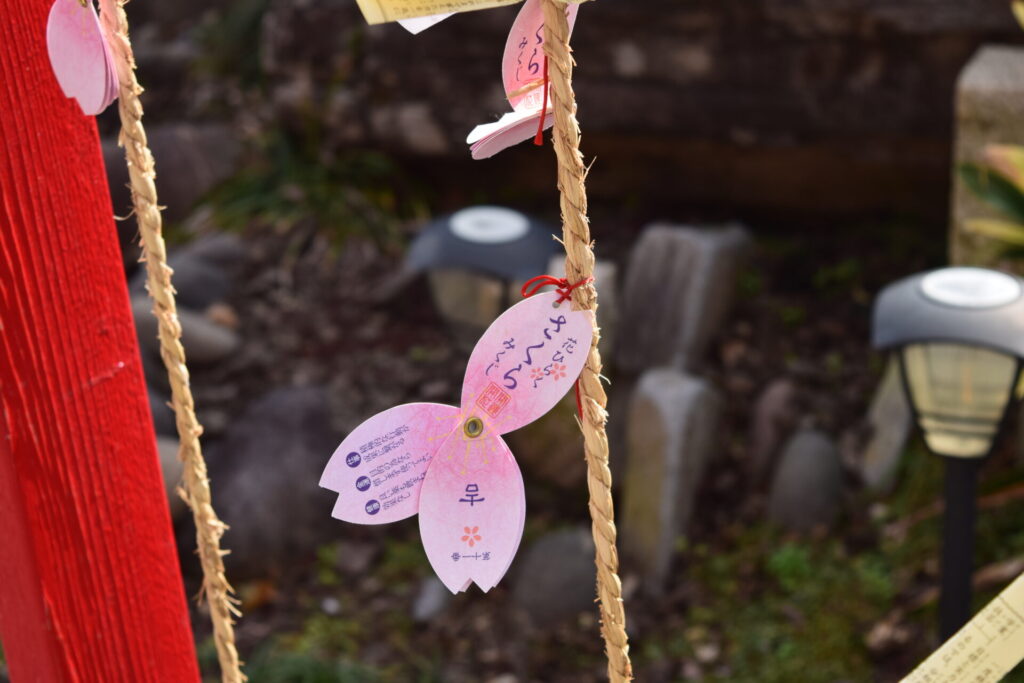 粟嶋神社-おみくじ