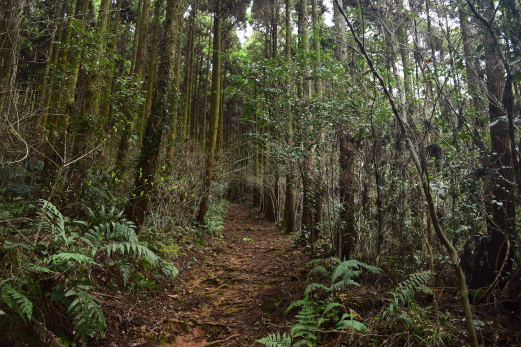 彦嶽宮_上宮登山