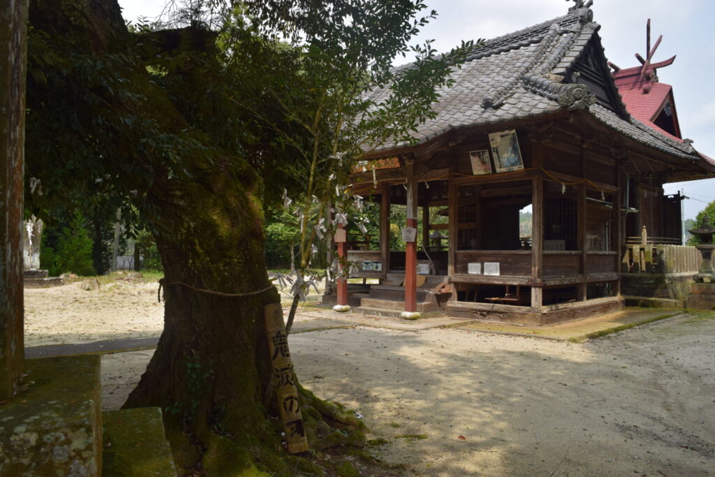 竈門菅原神社-御神樹