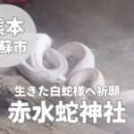 【赤水蛇石神社】金運のご利益が溢れる白蛇を祀った阿蘇スポット