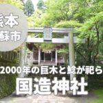 【国造神社】樹齢2000年を超える巨木と鯰に宿る阿蘇パワースポット