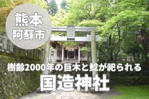 【国造神社】樹齢2000年を超える巨木と鯰に宿る阿蘇パワースポット