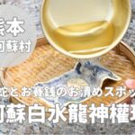 【阿蘇白水龍神權現(白蛇神社)】白蛇を祀るお賽銭の阿蘇パワースポット