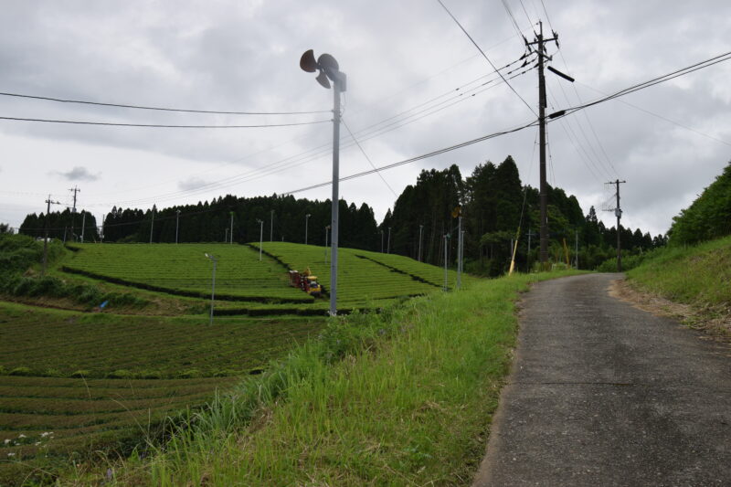 男成神社_経路2