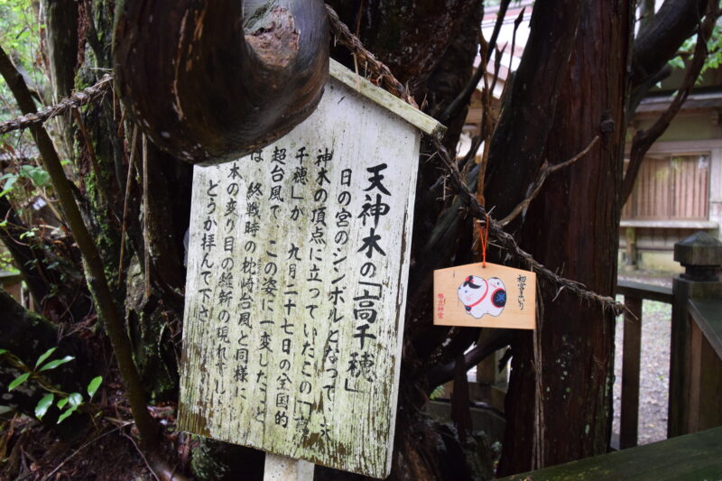 幣立神宮】日本最古の聖地・国始めのスピリチュアルスポット