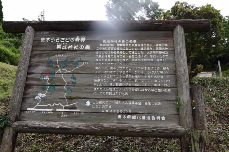 男成神社_男成神社の森