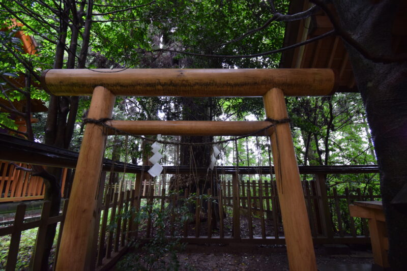 幣立神宮_村雲尼公殿下の御玉串1