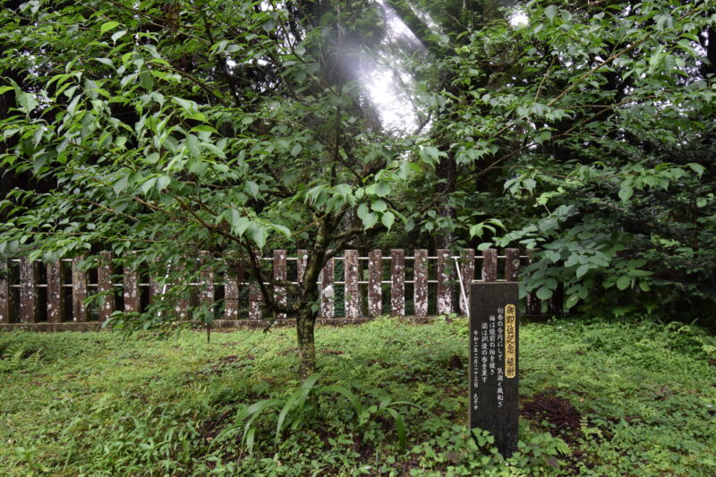 男成神社_御即位記念　植樹