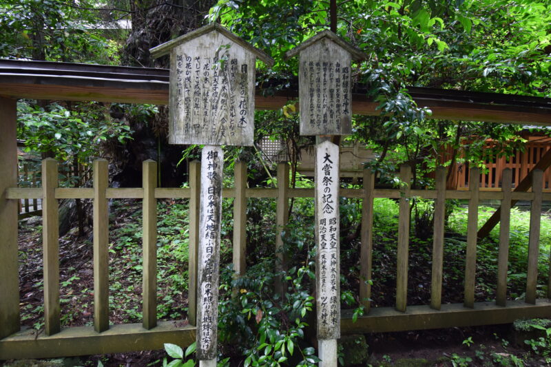 幣立神宮】日本最古の聖地・国始めのスピリチュアルスポット 幣立神宮】日本最古の聖地・国始めのスピリチュアルスポット