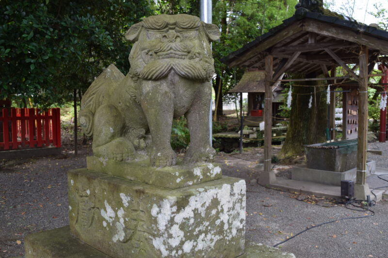 老神神社_狛犬1