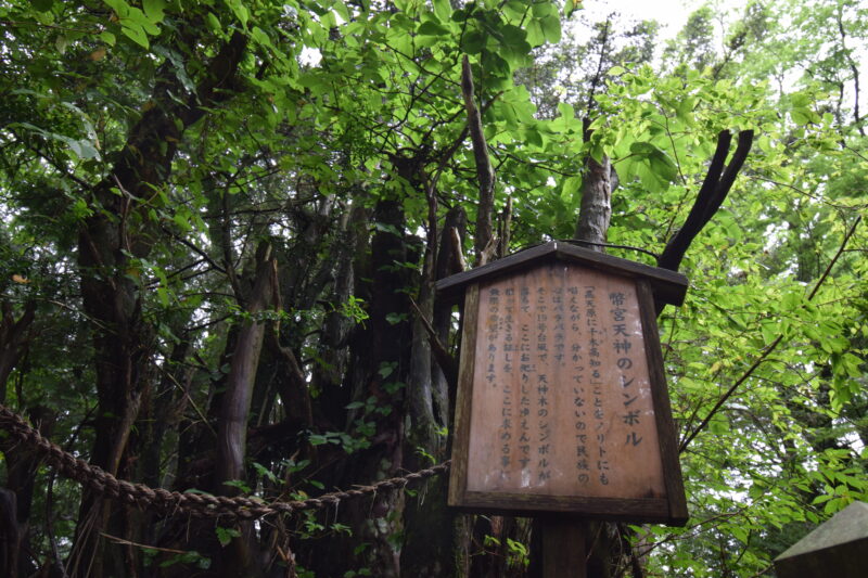 幣立神宮_幣立天神のシンボル1