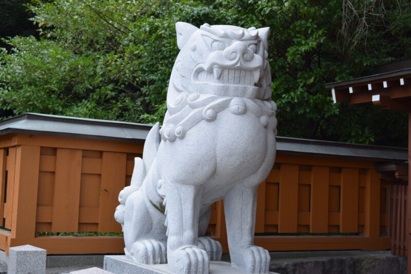 健軍神社_狛犬4