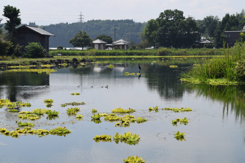 浮島周辺水辺公園3