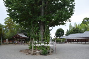 健軍神社_ギャラリー3