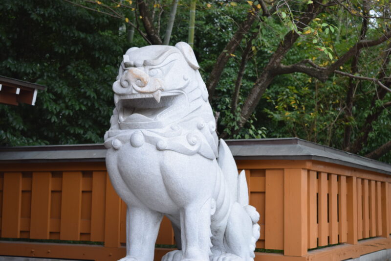 健軍神社_狛犬3