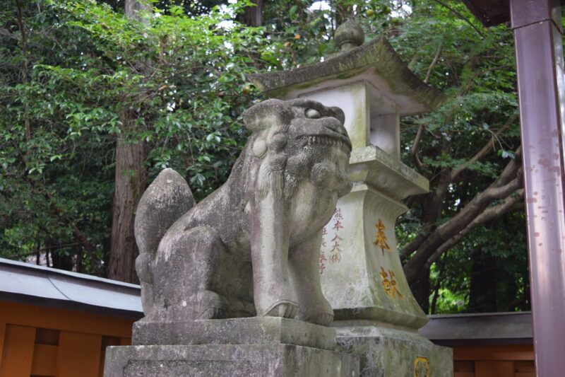 健軍神社_狛犬1