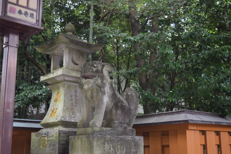 健軍神社_狛犬2