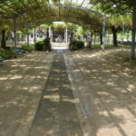 山田日吉神社_ギャラリー2