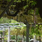 山田日吉神社_ギャラリー5