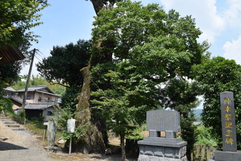 津森神宮_遊歩道2