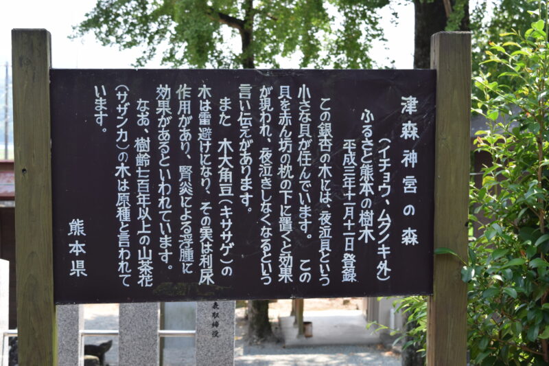 津森神社_津森神社の森