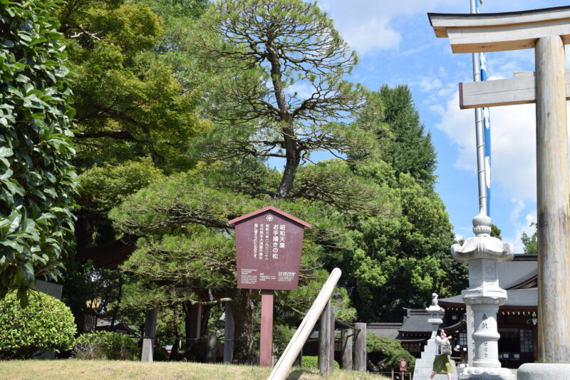 出水神社_昭和天皇お手巻きの松