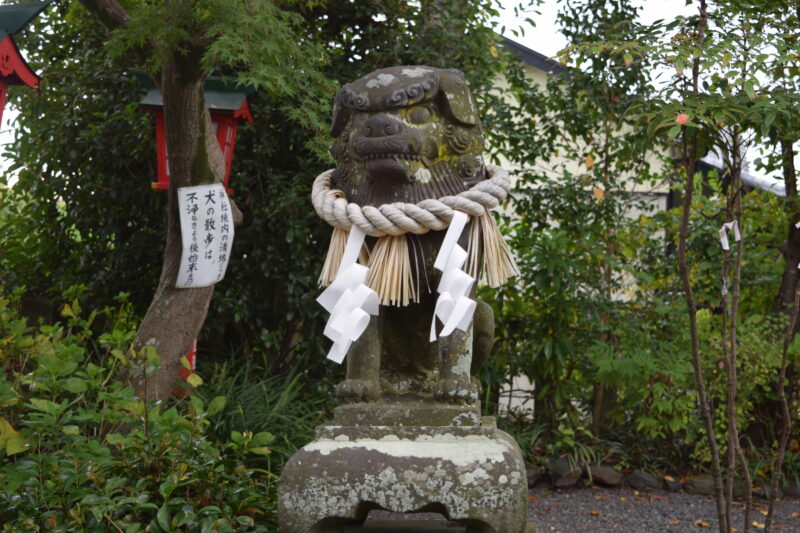 疋野神社_狛犬境内2