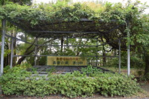 疋野神社_ギャラリー3