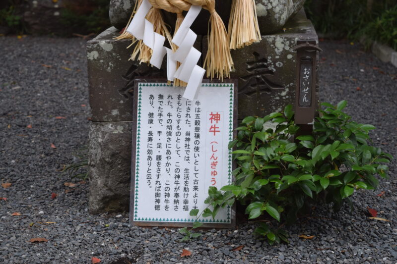 疋野神社_神牛2