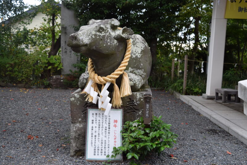 疋野神社_神牛