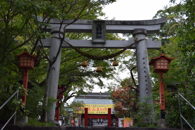 疋野神社_鳥居2