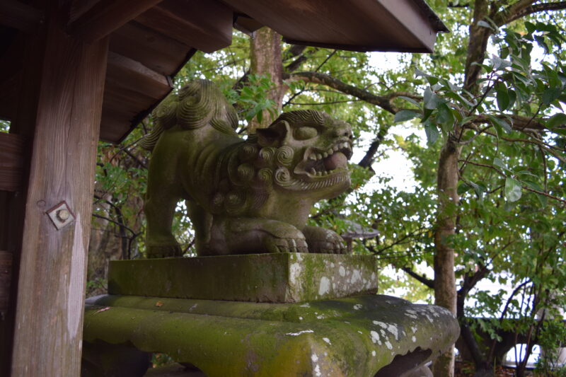 大宮神社_狛犬2