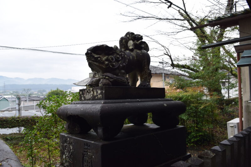 大宮神社_狛犬1