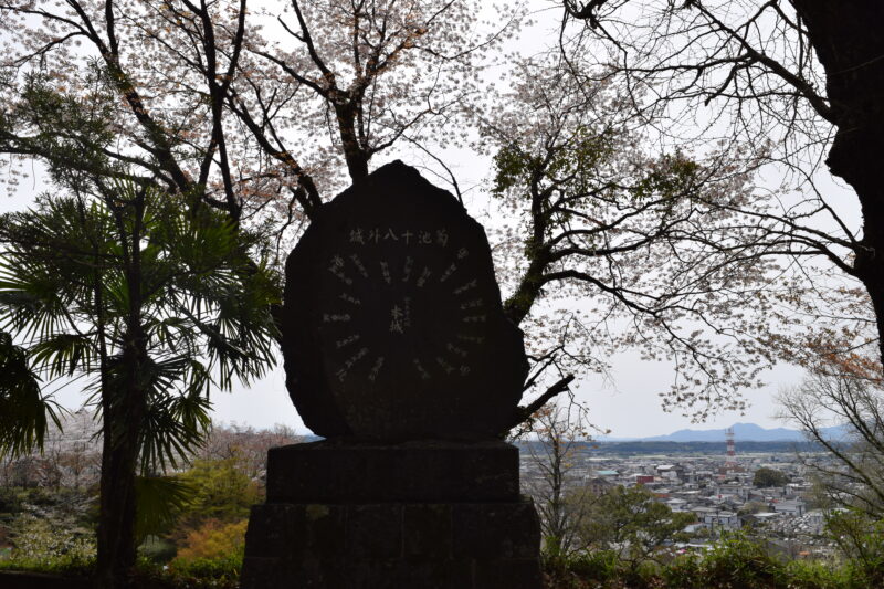 菊池神社_城外八十池菊