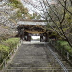 菊池神社_ギャラリー7