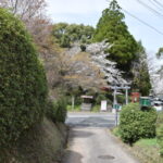 菊池神社_ギャラリー1