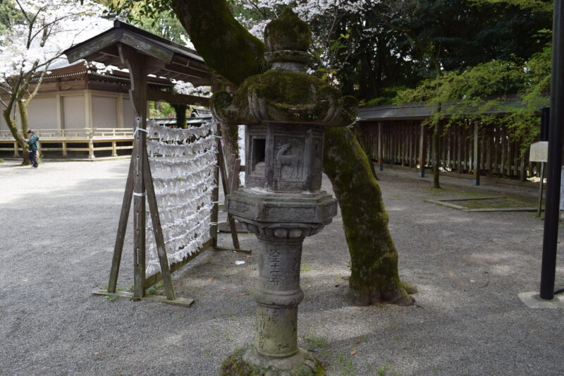 菊池神社_石灯籠