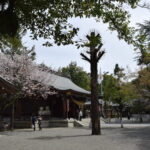 菊池神社_境内