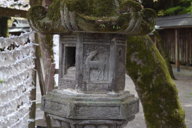 菊池神社_石灯籠2