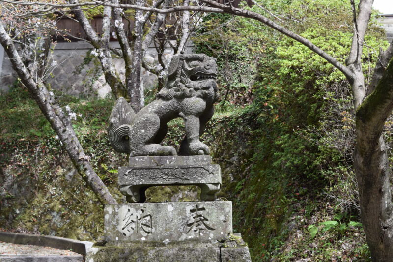 菊池神社_正面入口狛犬