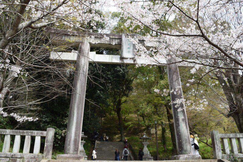 菊池神社_第一の鳥居