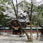 菊池神社_ギャラリー4