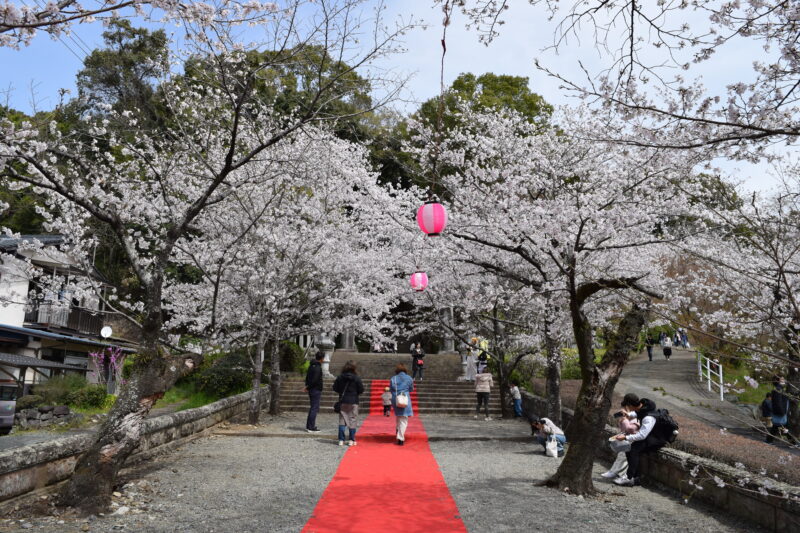 菊池神社_正面参道