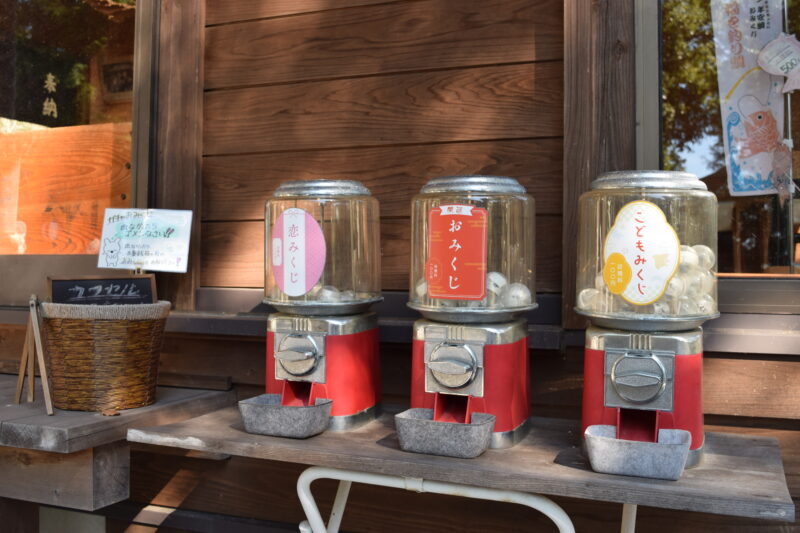 河内阿蘇神社_本堂前おみくじ