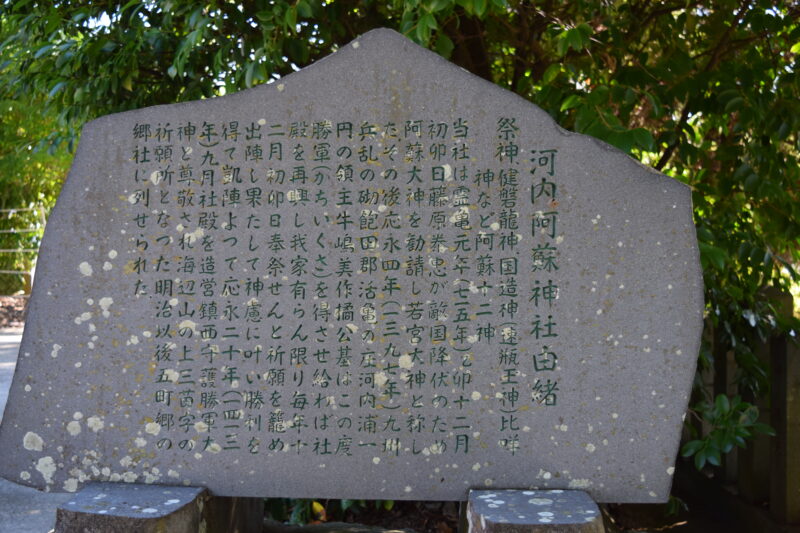 河内阿蘇神社_由緒