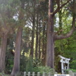高森阿蘇神社_メディア4
