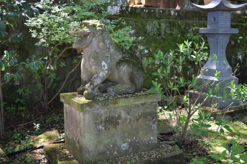 高森阿蘇神社_狛犬2
