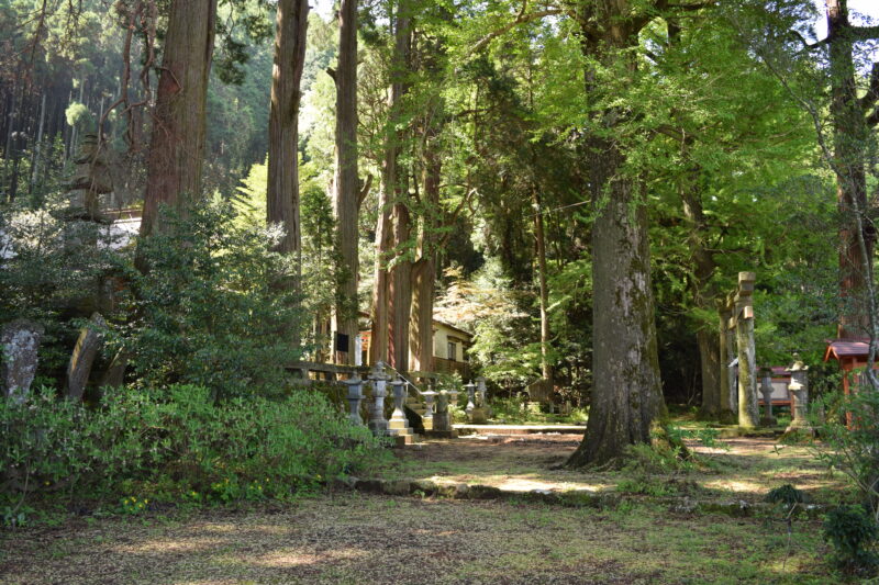 高森阿蘇神社_境内